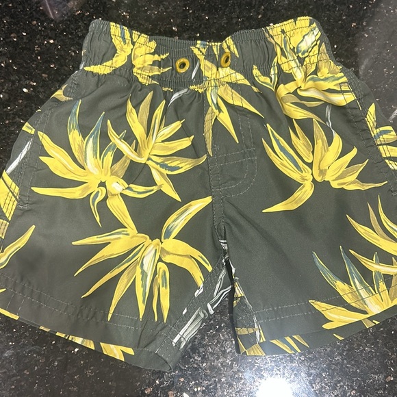 Toddler Boys
Sundek
Size 2 - Picture 2 of 5